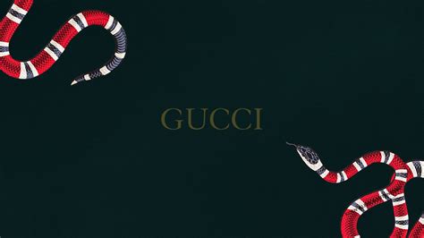 gucci background information|gucci wallpaper 2020.